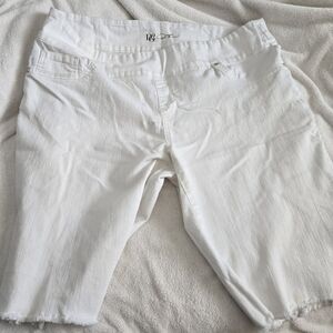 DG2 Bermuda Shorts 2x